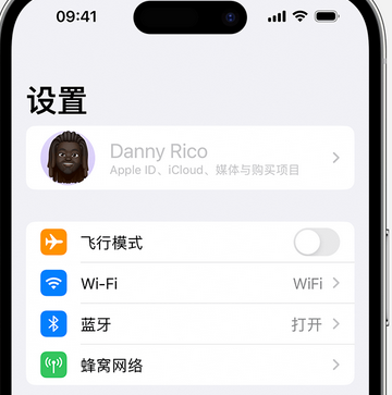 沙坡头appleID维修服务iPhone设置中Apple ID显示为灰色无法使用 