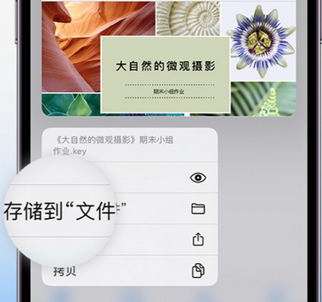 沙坡头apple维修中心分享iPhone文件应用中存储和找到下载文件