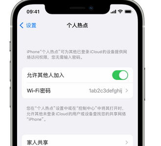 沙坡头apple服务站点分享iPhone上个人热点丢失了怎么办 