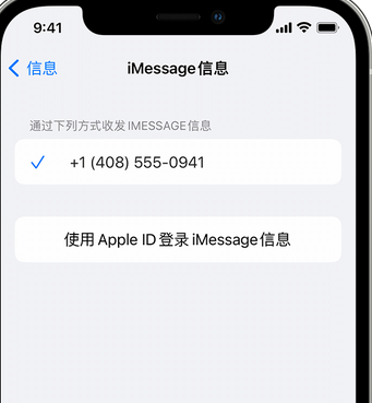 沙坡头apple维修iPhone上无法正常发送iMessage信息 