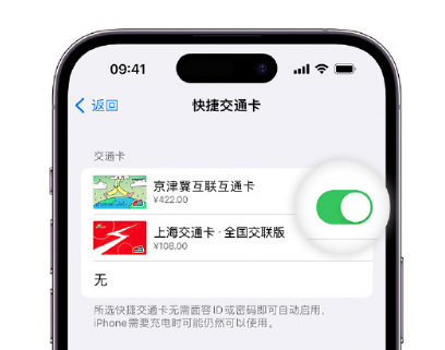 沙坡头apple维修点分享iPhone上更换Apple Pay快捷交通卡手绘卡面 