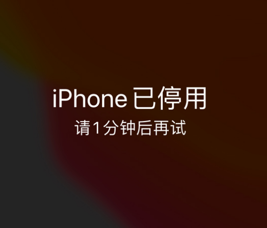 沙坡头苹果手机维修分享:iPhone 显示“不可用”或“已停用”怎么办？还能保留数据吗？ 