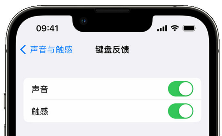 沙坡头苹果手机维修分享iPhone 14触感键盘使用方法 