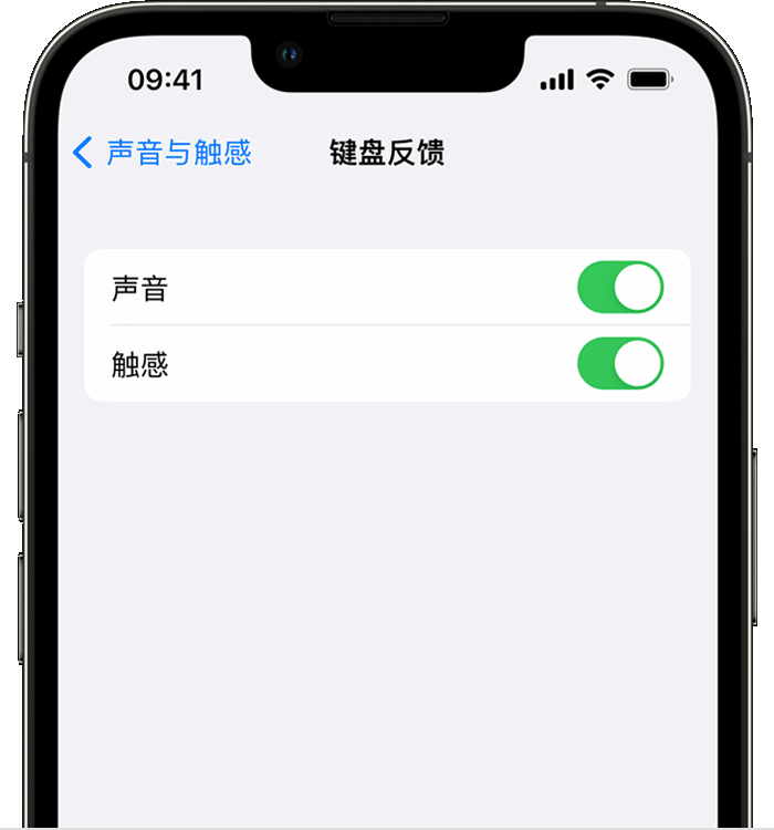 沙坡头苹果14维修店分享如何在 iPhone 14 机型中使用触感键盘 