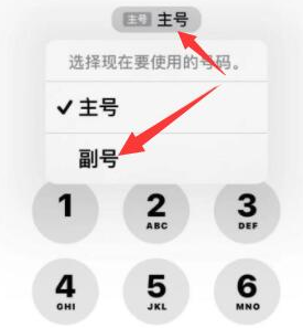 沙坡头苹果14维修店分享iPhone 14 Pro Max使用副卡打电话的方法 