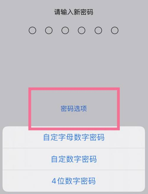 沙坡头苹果14维修分享iPhone 14plus设置密码的方法 