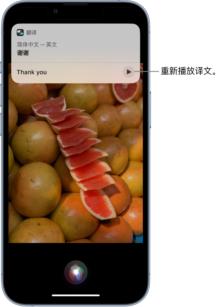 沙坡头苹果14维修分享 iPhone 14 机型中使用 Siri：了解 Siri 能帮你做什么 