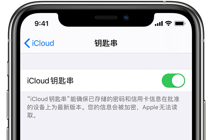 沙坡头苹果手机维修分享在 iPhone 上开启 iCloud 钥匙串之后会储存哪些信息 