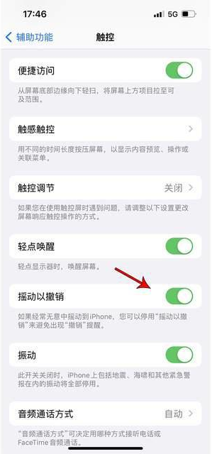 沙坡头苹果手机维修分享iPhone手机如何设置摇一摇删除文字 